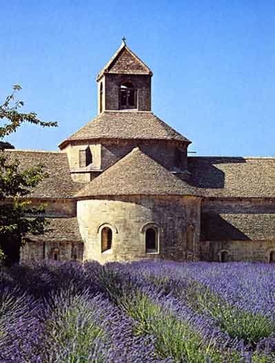senanque-1.jpg