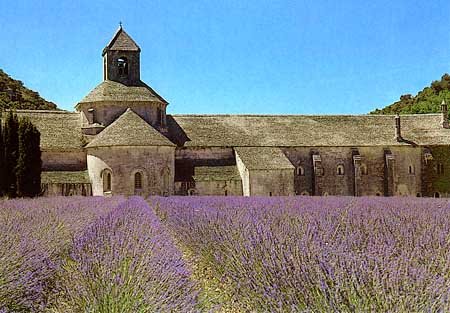 senanque1.jpg