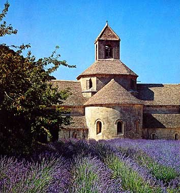 senanque2.jpg